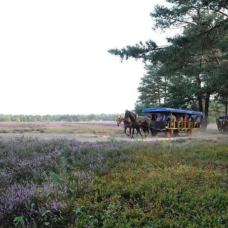 Eurostrand Lueneburger Heide منتجع Fintel
