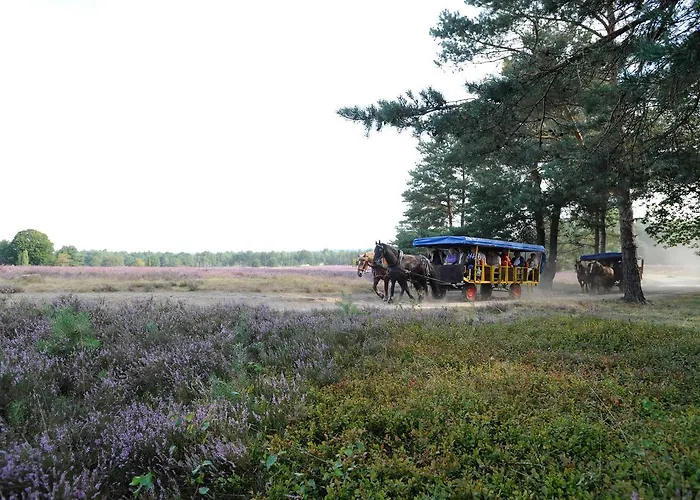 Eurostrand Lueneburger Heide Курортный комплекс Fintel